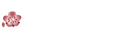 中華航空