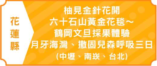 柚見金針花開、六十石山黃金花毯～鶴岡文旦採果體驗、月牙海灣、撒固兒森呼吸三日(中壢、南崁、台北)