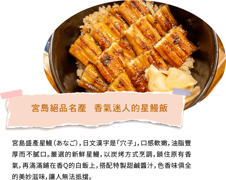 宮島絕品名產  香氣迷人的星鰻飯