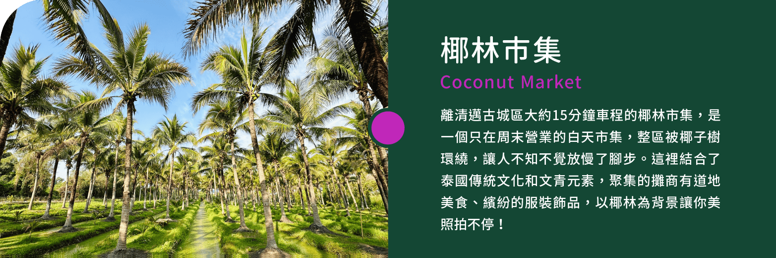 椰林市集-Coconut Market