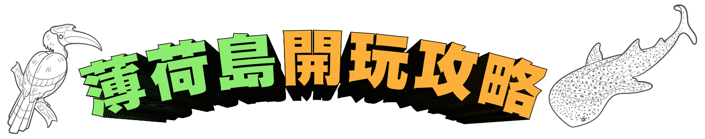 薄荷島開玩攻略