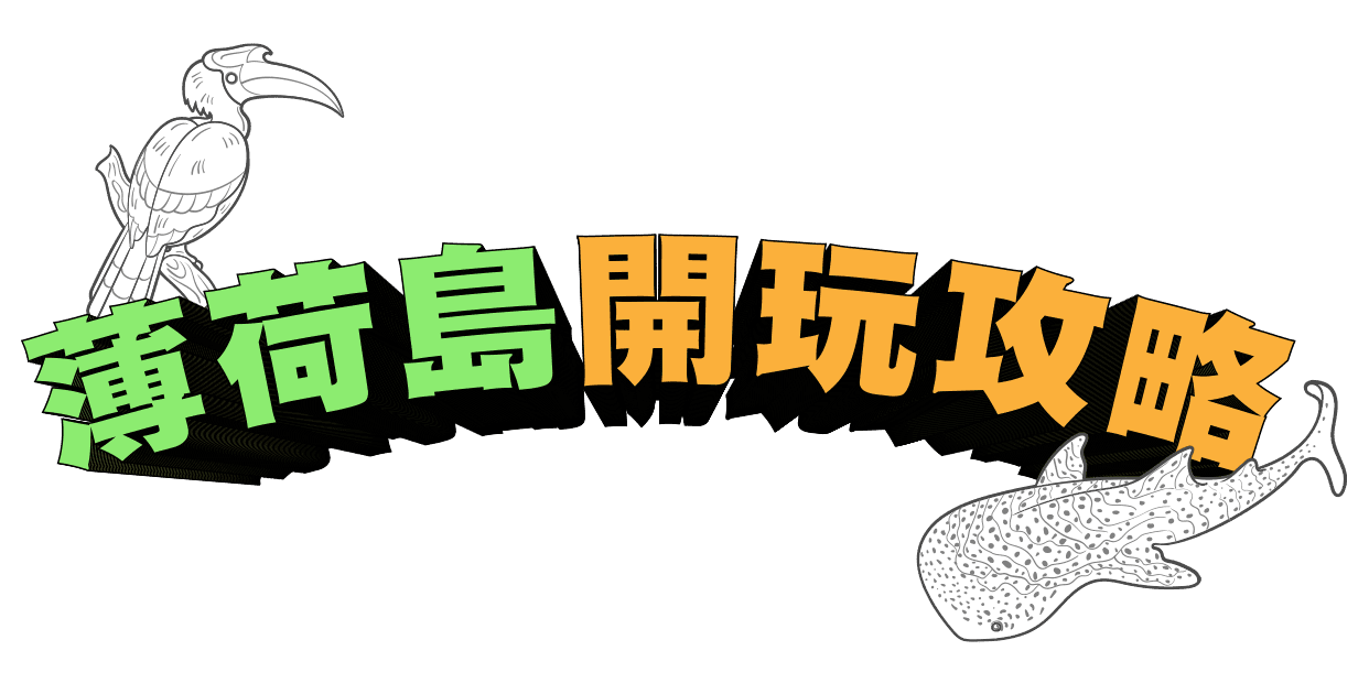 薄荷島開玩攻略