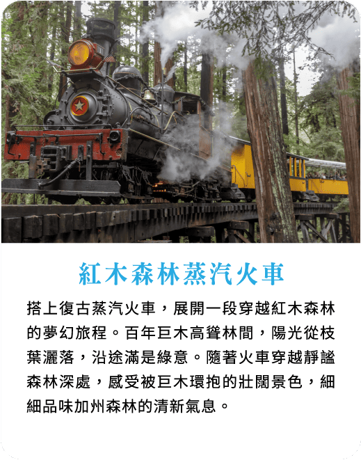 紅木森林蒸汽火車