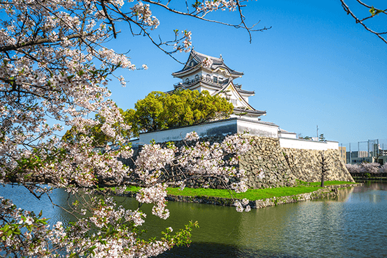 大阪城綻放美麗的櫻花，是每年台灣人必去的景點之一
