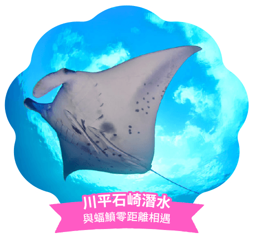 川平石崎潛水