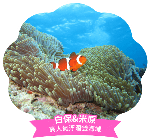 白保&米原